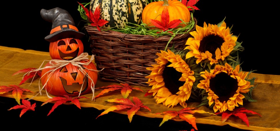 Bild: Herbstdeko mit Kürbis