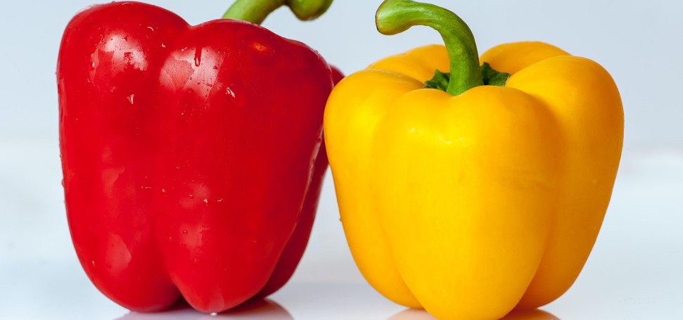 rote und gelbe Paprika