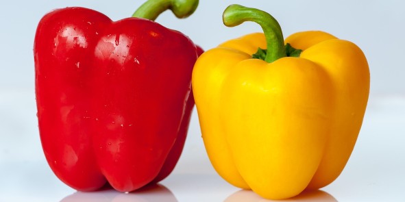 rote und gelbe Paprika